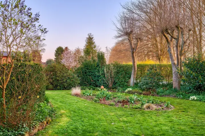 tuin in de herfst | Meer Groen Hoveniers – hoveniersbedrijf in Zwolle